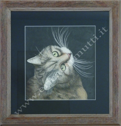 quadro gatto tecnica ad acquerello cm29x29 con cornice