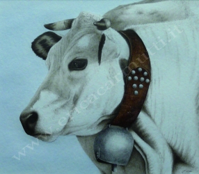 quadro mucca con campanaccio tecnica ad acquerello cm46x43