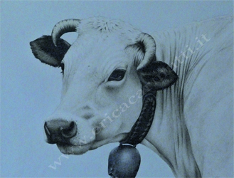 quadro mucca tecnica ad acquerello san lorenzo