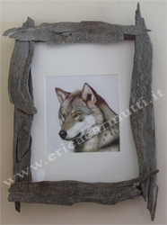 quadro tecnica ad acquerello lupo con cornice in legno