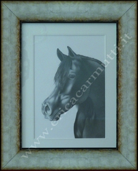 quadro cavallo arabo disegno a matita cm42x35 