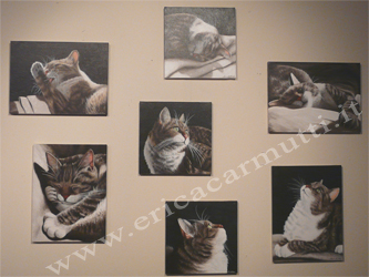 olio composizione di ritratti di gatti