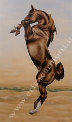 quadro tecnica olio su tavola titolo cavallo arabo impennato