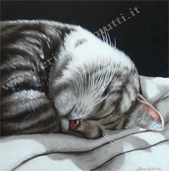 quadro tecnica olio su tela cm30x30 titolo ritratto di gatto il sonno