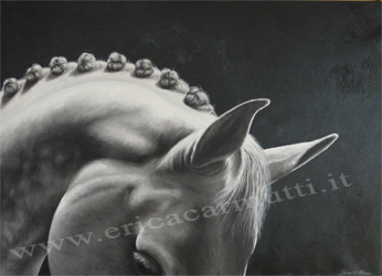 quadro tecnica olio su tela cm50x70 titolo cavallo holstein